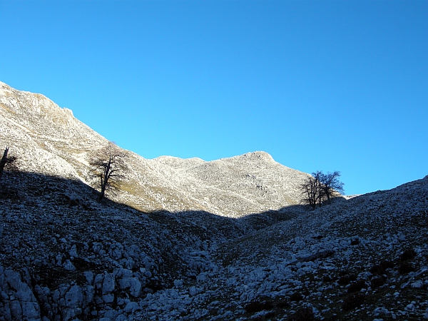 PNA - Nel regno del camoscio d''Abruzzo - monti della Meta